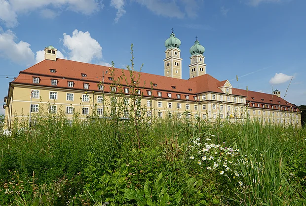 Ein gelbes, alts großes Gebäude mit grüner Wiese davor.