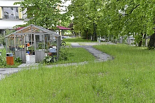 Im Grünen sieht man ein schönes Gewächshaus, von dem ein geschlungener Weg weg führt.